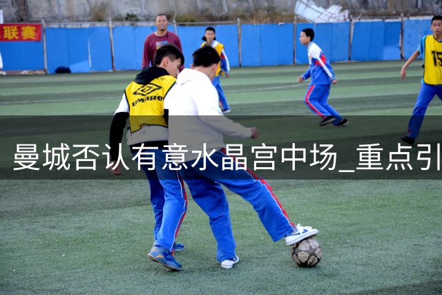 曼城否认有意水晶宫中场 重点引援目标另有其人